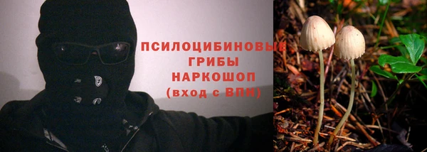 гидра Новокубанск