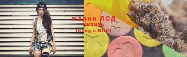стафф Аркадак