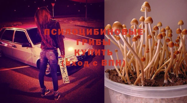 не бодяженный Армянск