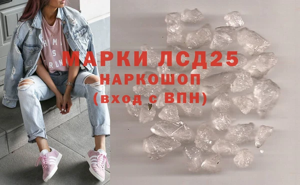 стафф Аркадак