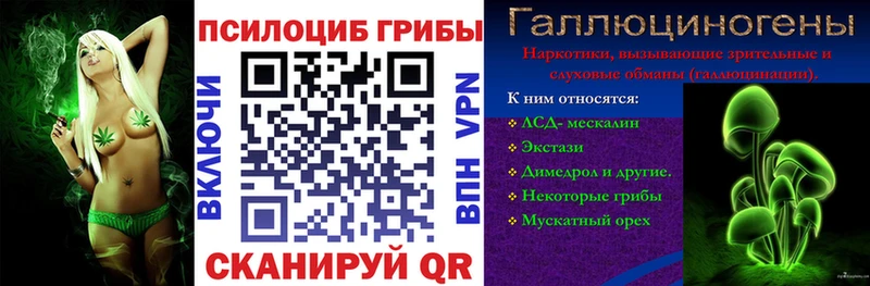 кракен зеркало  Лаишево  Галлюциногенные грибы Magic Shrooms  наркошоп 